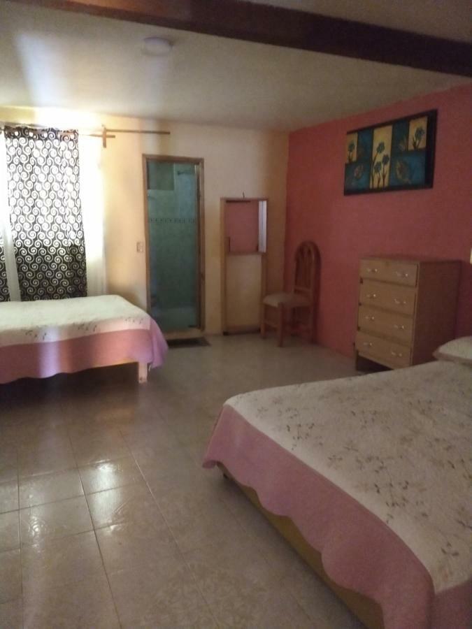 El Paraiso De Zacatlan Departamento Con Jardin, 11 Pax Buitenkant foto