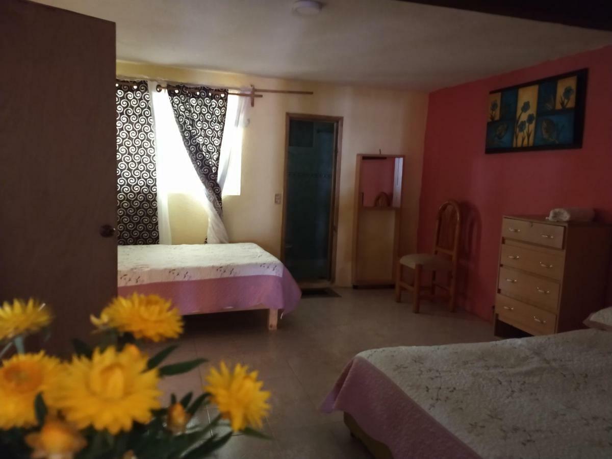 El Paraiso De Zacatlan Departamento Con Jardin, 11 Pax Buitenkant foto